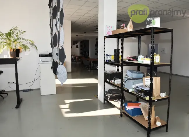Pronájem obchodního prostoru, Ostrava, Cihelní, 701 m2