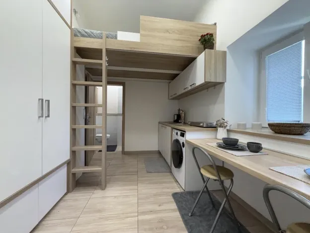 Pronájem bytu 1+kk, Opava - Předměstí, Alšova, 15 m2