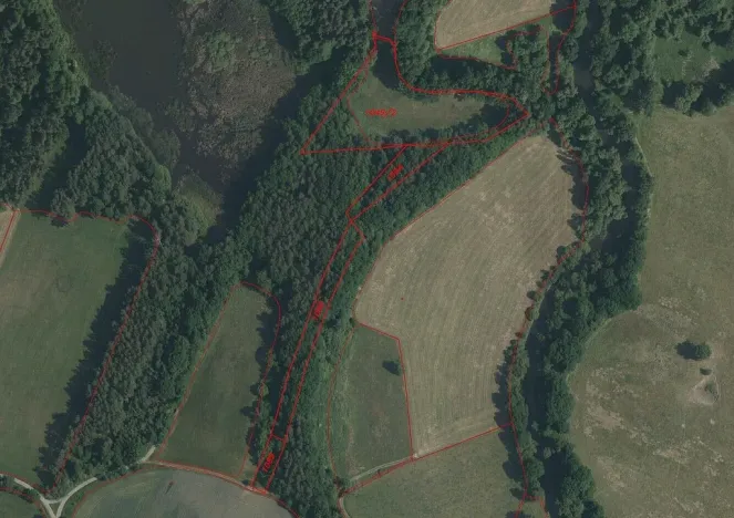 Prodej pozemku, Novosedly nad Nežárkou, 15643 m2