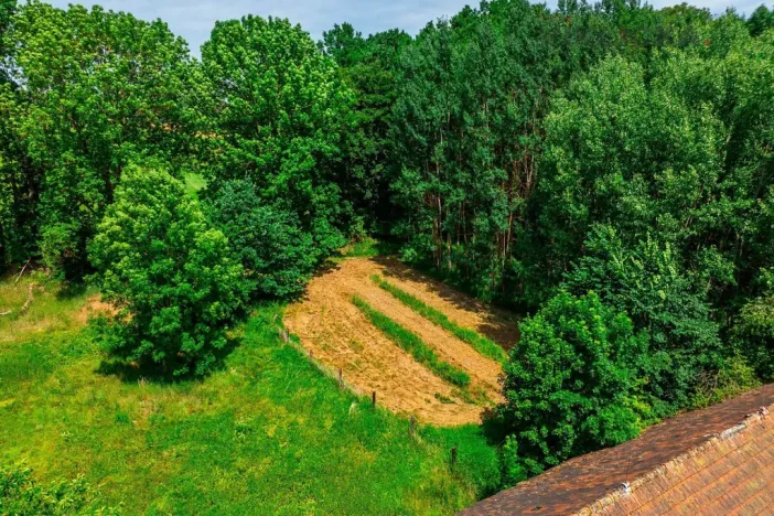 Prodej pozemku, Hostouň - Slatina, 7749 m2