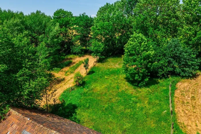 Prodej pozemku, Hostouň - Slatina, 7749 m2