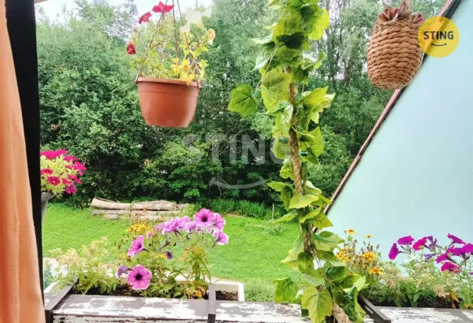 Prodej rodinného domu, Malá Morávka, 120 m2