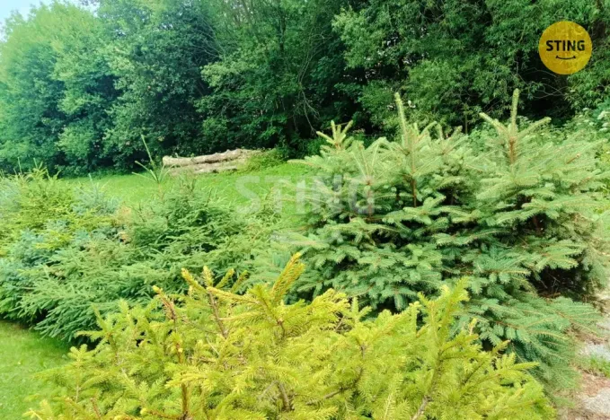 Prodej rodinného domu, Malá Morávka, 120 m2