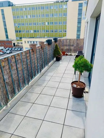 Pronájem bytu 2+kk, Olomouc, Stupkova, 58 m2
