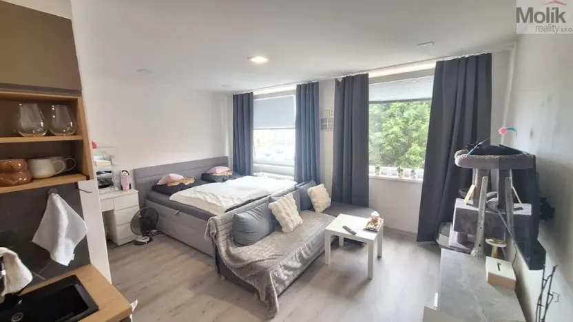 Prodej bytu 1+kk, Teplice - Trnovany, Seifertova, 31 m2
