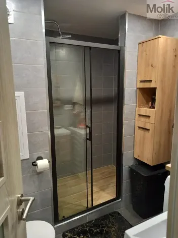 Prodej bytu 1+kk, Teplice - Trnovany, Seifertova, 31 m2