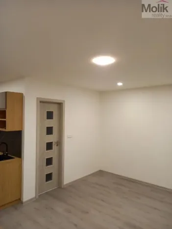 Prodej bytu 1+kk, Teplice - Trnovany, Seifertova, 31 m2