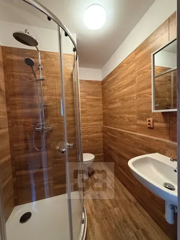 Pronájem bytu 2+kk, Plzeň, Tichá, 36 m2