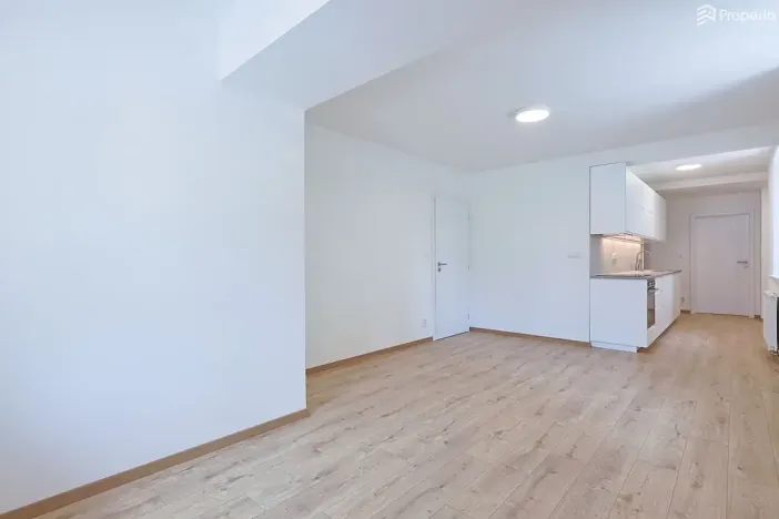 Pronájem bytu 3+kk, Brno, Lerchova, 60 m2