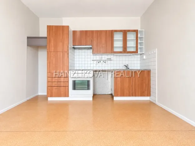 Prodej bytu 2+kk, České Budějovice - České Budějovice 2, Jizerská, 48 m2