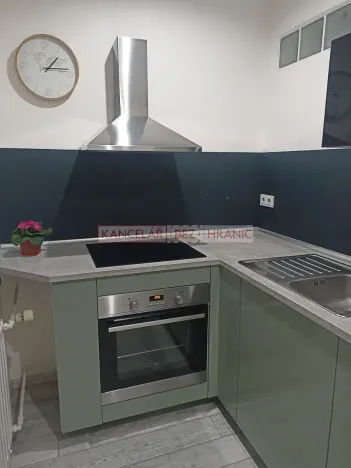 Pronájem bytu 1+1, Ostrava, U Haldy, 40 m2