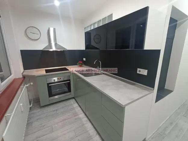 Pronájem bytu 1+1, Ostrava, U Haldy, 40 m2