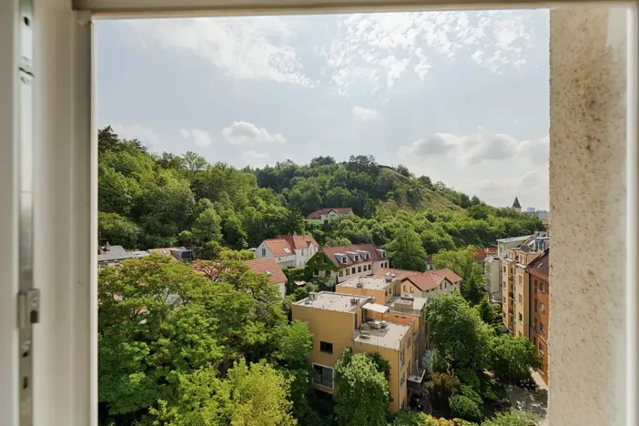 Prodej bytu 1+1, Praha - Braník, Branická, 46 m2