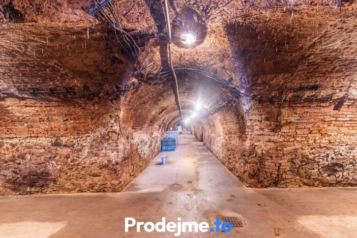 Prodej - jiné, Nový Šaldorf-Sedlešovice, 478 m2