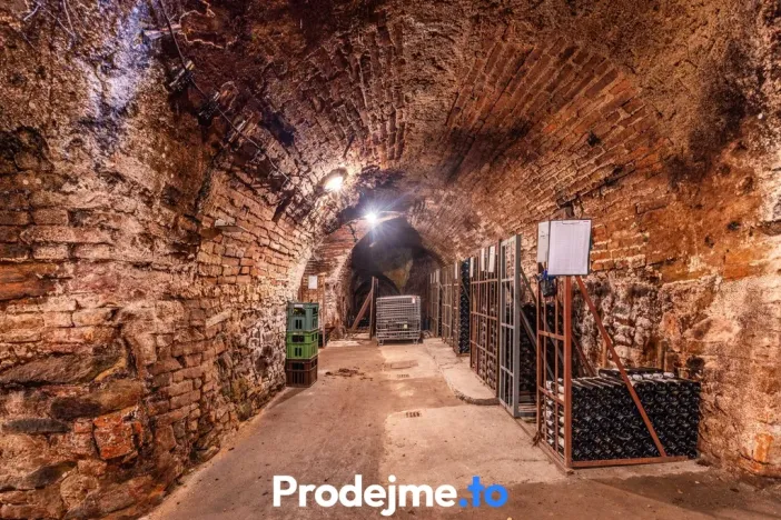 Prodej - jiné, Nový Šaldorf-Sedlešovice, 478 m2