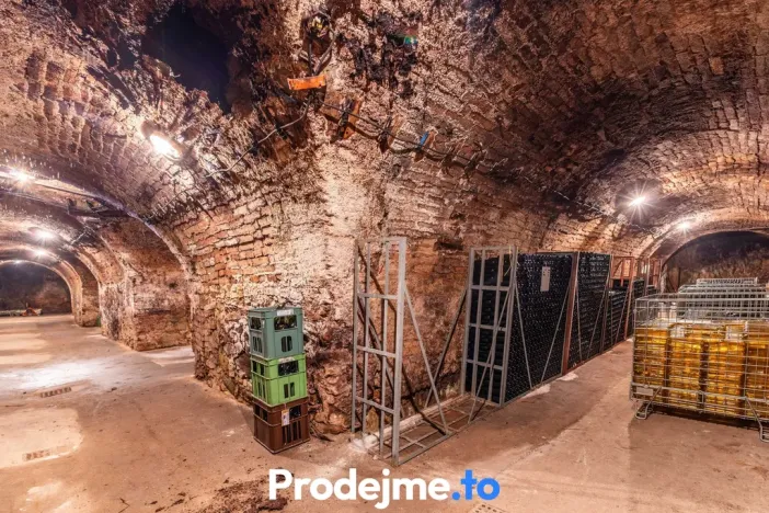 Prodej - jiné, Nový Šaldorf-Sedlešovice, 478 m2