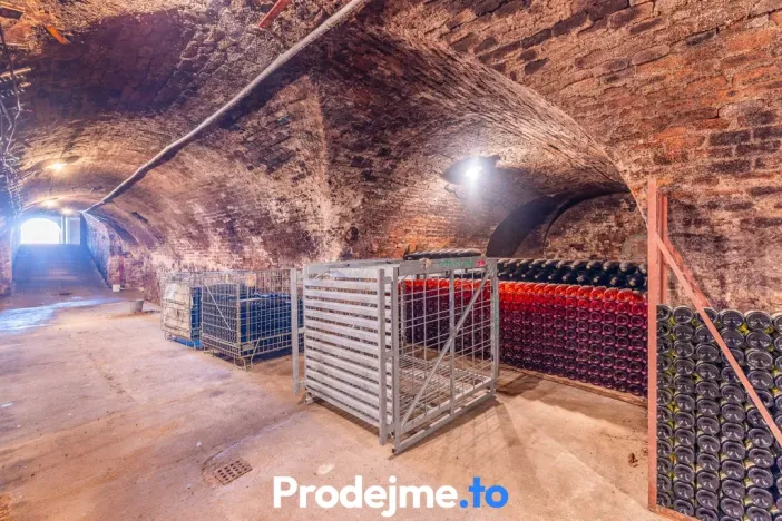 Prodej - jiné, Nový Šaldorf-Sedlešovice, 478 m2