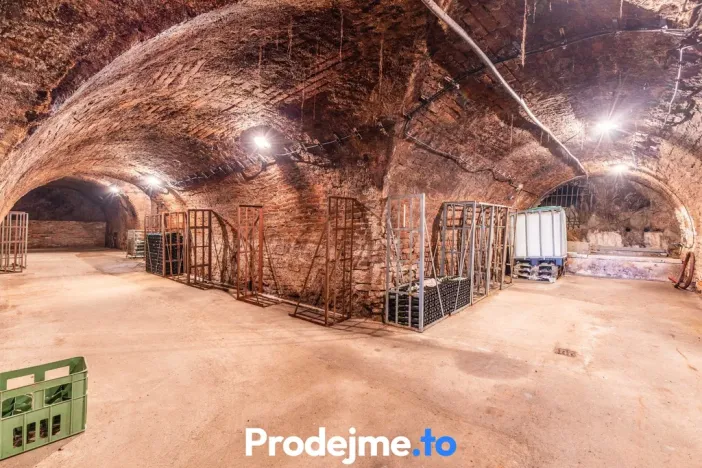 Prodej - jiné, Nový Šaldorf-Sedlešovice, 478 m2