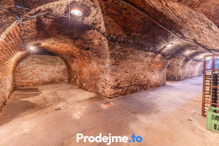 Prodej - jiné, Nový Šaldorf-Sedlešovice, 478 m2