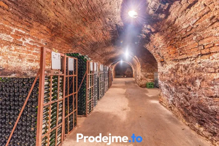 Prodej - jiné, Nový Šaldorf-Sedlešovice, 478 m2