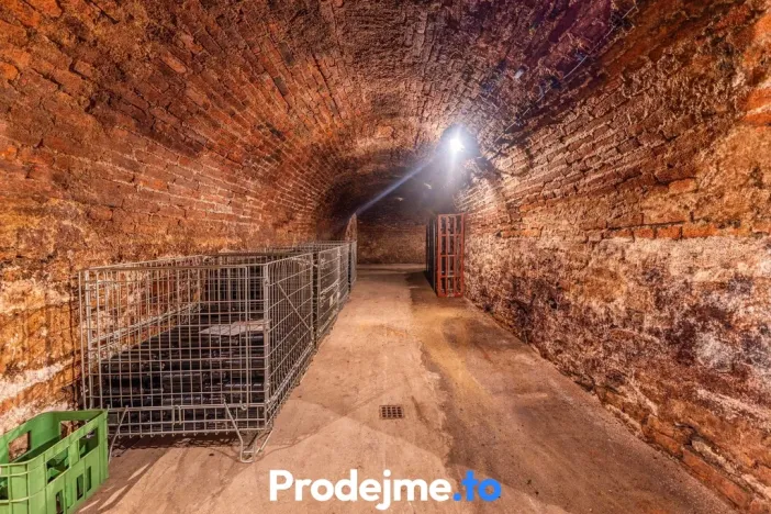 Prodej - jiné, Nový Šaldorf-Sedlešovice, 478 m2