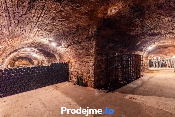 Prodej - jiné, Nový Šaldorf-Sedlešovice, 478 m2