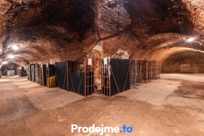 Prodej - jiné, Nový Šaldorf-Sedlešovice, 478 m2