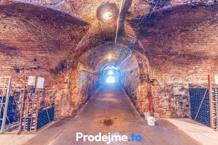 Prodej - jiné, Nový Šaldorf-Sedlešovice, 478 m2