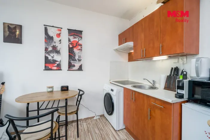 Prodej bytu 1+kk, Ústí nad Labem - Severní Terasa, Glennova, 19 m2