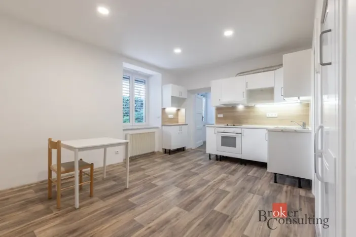 Pronájem bytu 2+kk, Brno - Veveří, Botanická, 43 m2