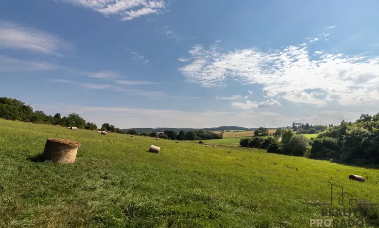 Prodej pozemku pro bydlení, Bavoryně, 1163 m2