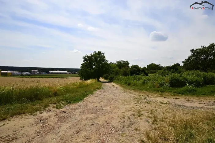 Prodej sadu/vinice, Bzenec, 2460 m2