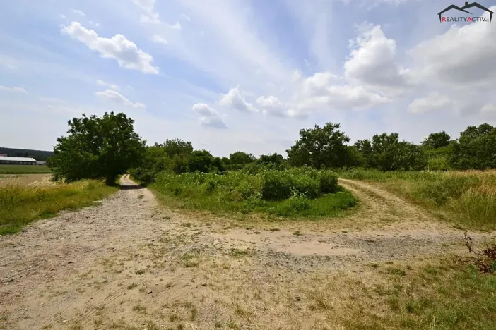 Prodej sadu/vinice, Bzenec, 2460 m2