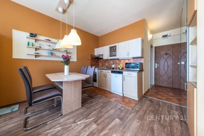 Prodej bytu 1+1, České Budějovice - České Budějovice 2, J. Opletala, 36 m2