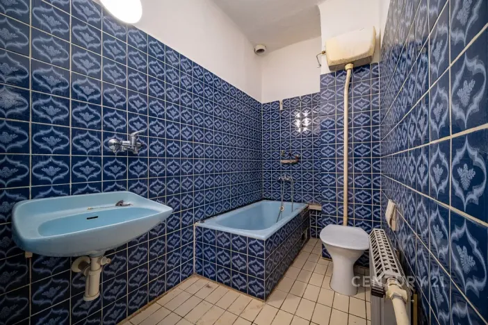 Prodej rodinného domu, České Budějovice - České Budějovice 5, Reinerova, 240 m2