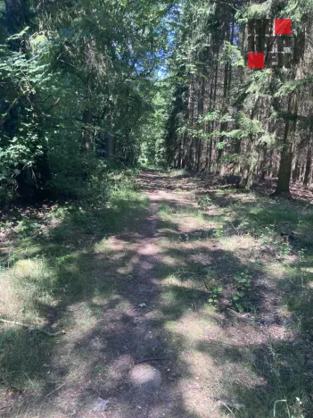 Prodej pole, Lomnice nad Popelkou - Želechy, 3130 m2