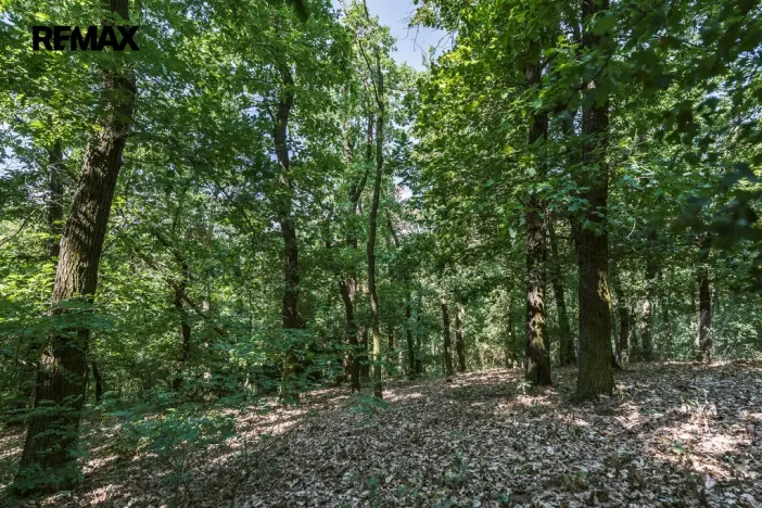 Prodej chaty, Zdiby - Brnky, Na Vinici, 24 m2