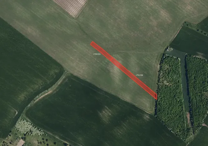 Prodej pole, Násedlovice, 11893 m2