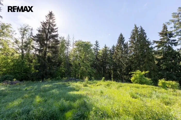 Prodej pozemku pro bydlení, Karlovy Vary, 3902 m2