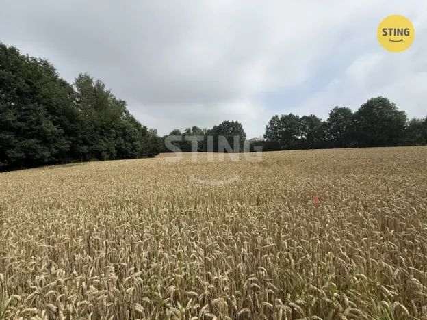 Prodej pozemku pro bydlení, Bohumín - Skřečoň, 1099 m2