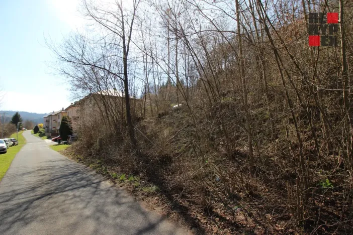 Prodej pozemku pro bydlení, Železný Brod, Chvalíkovická, 786 m2