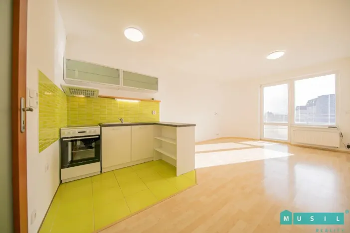 Pronájem bytu 1+kk, Olomouc - Nová Ulice, Okružní, 33 m2