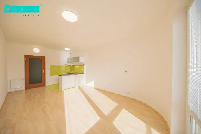 Pronájem bytu 1+kk, Olomouc - Nová Ulice, Okružní, 33 m2