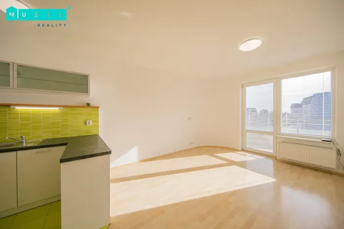 Pronájem bytu 1+kk, Olomouc - Nová Ulice, Okružní, 33 m2