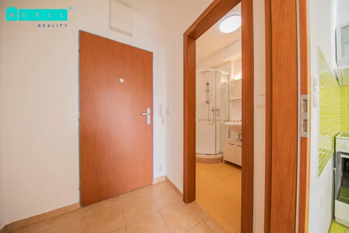 Pronájem bytu 1+kk, Olomouc - Nová Ulice, Okružní, 33 m2