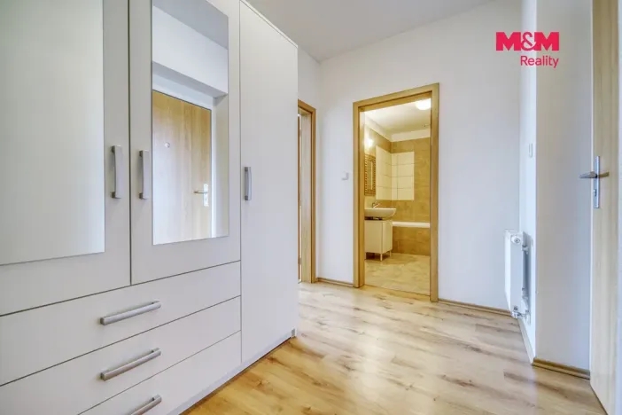 Pronájem bytu 1+kk, Plasy, U Václava, 38 m2