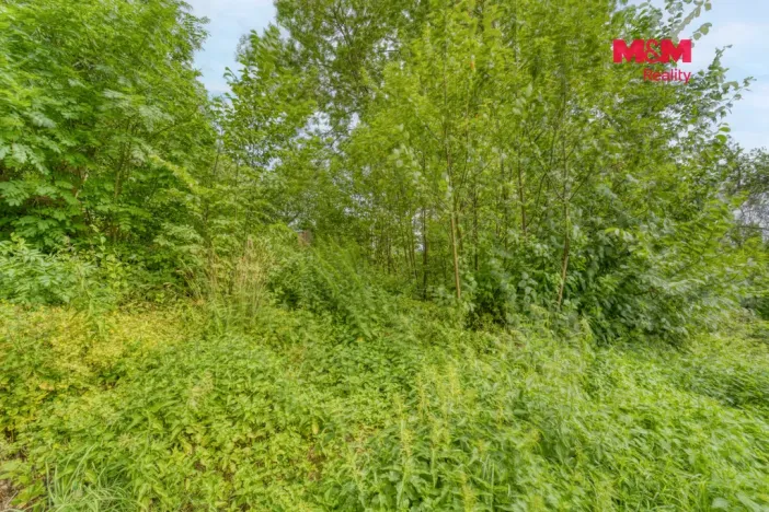Prodej rodinného domu, Útvina, 63 m2