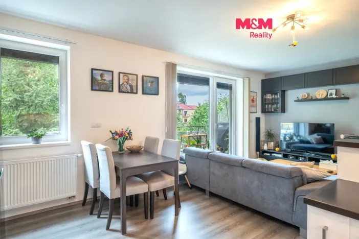 Prodej bytu 3+kk, České Budějovice - České Budějovice 5, I. Olbrachta, 65 m2