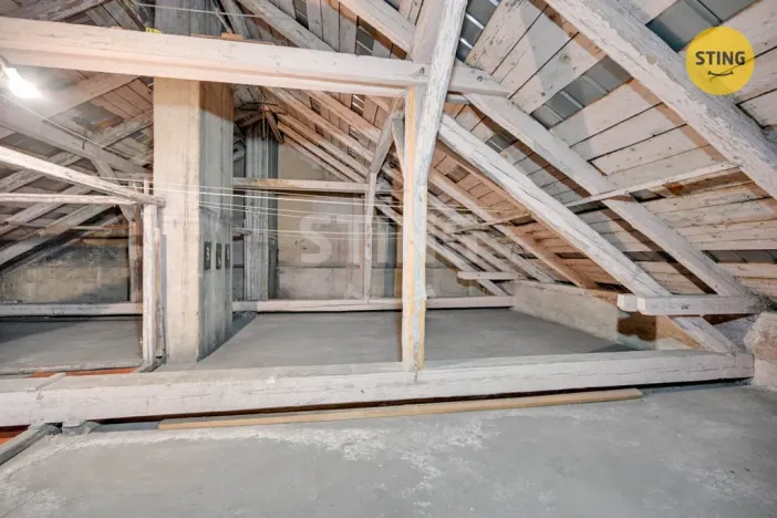 Prodej vícegeneračního domu, Přerov, Bratrská, 320 m2