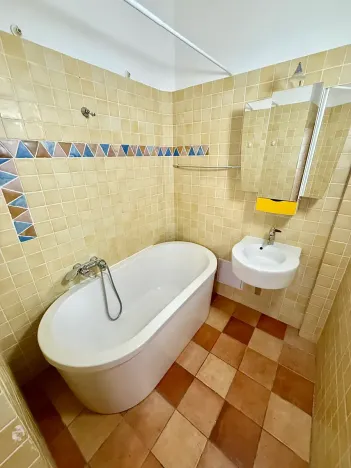 Pronájem bytu 1+1, Praha - Žižkov, Baranova, 56 m2